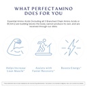 bodyhealth-perfectamino-300-ct-easy-to-s-3.jpg