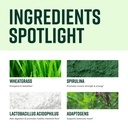 vibrant-health-green-vibrance-vegan-supe-3.jpg