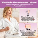vegan-omega-3-gummies-for-women-algae-om-2.jpg