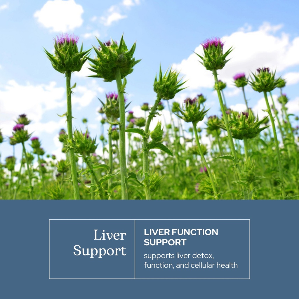 eclectic-herb-concentrated-liver-support-3.jpg