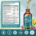 liposomal-lymphatic-drainage-drops-21-in-5.jpg