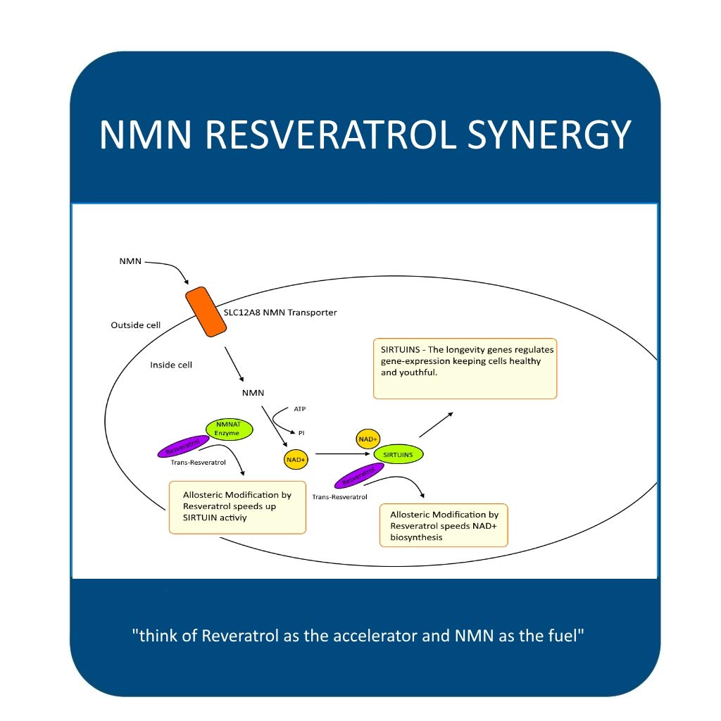 maac10-nmn-resveratrol-nad-combo-pack-ni-6.jpg