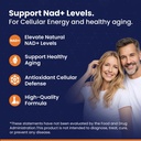 circle-of-nature-nad-supplement-nicotina-6.jpg