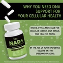 nad-resveratrol-supplement-1500mg-120-ve-5.jpg