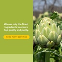 natural-factors-herbalfactors-liv-gall-c-5.jpg