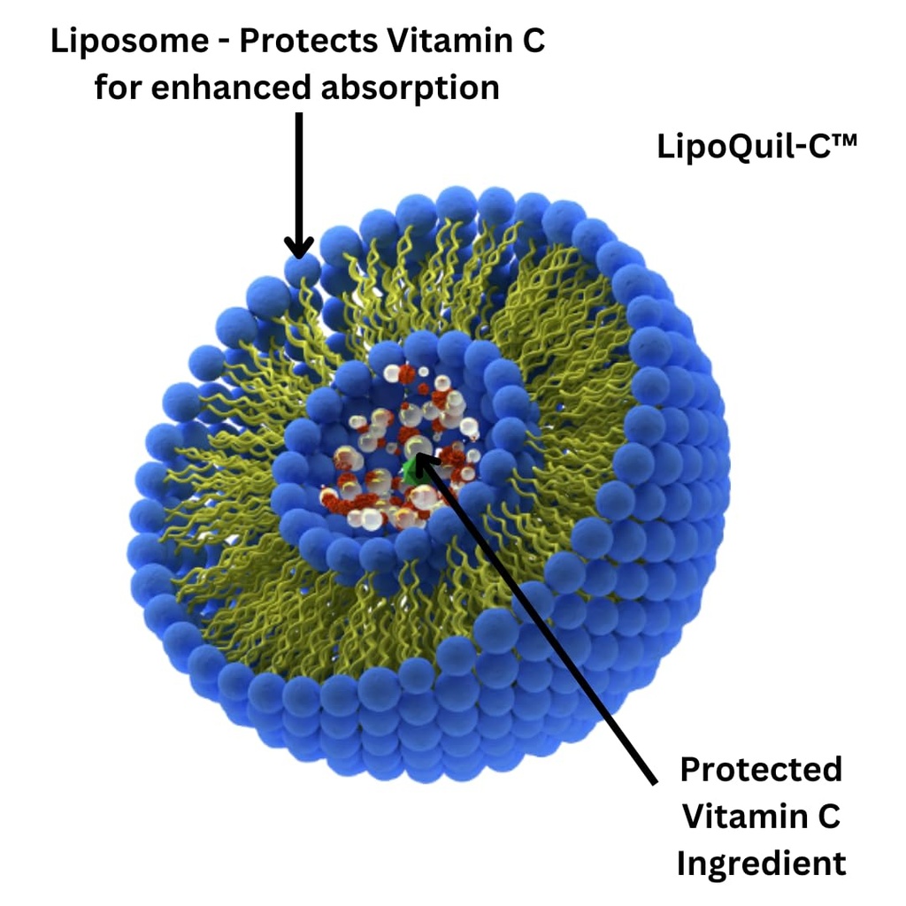 research-labs-liposomal-vitamin-c-supple-2.jpg