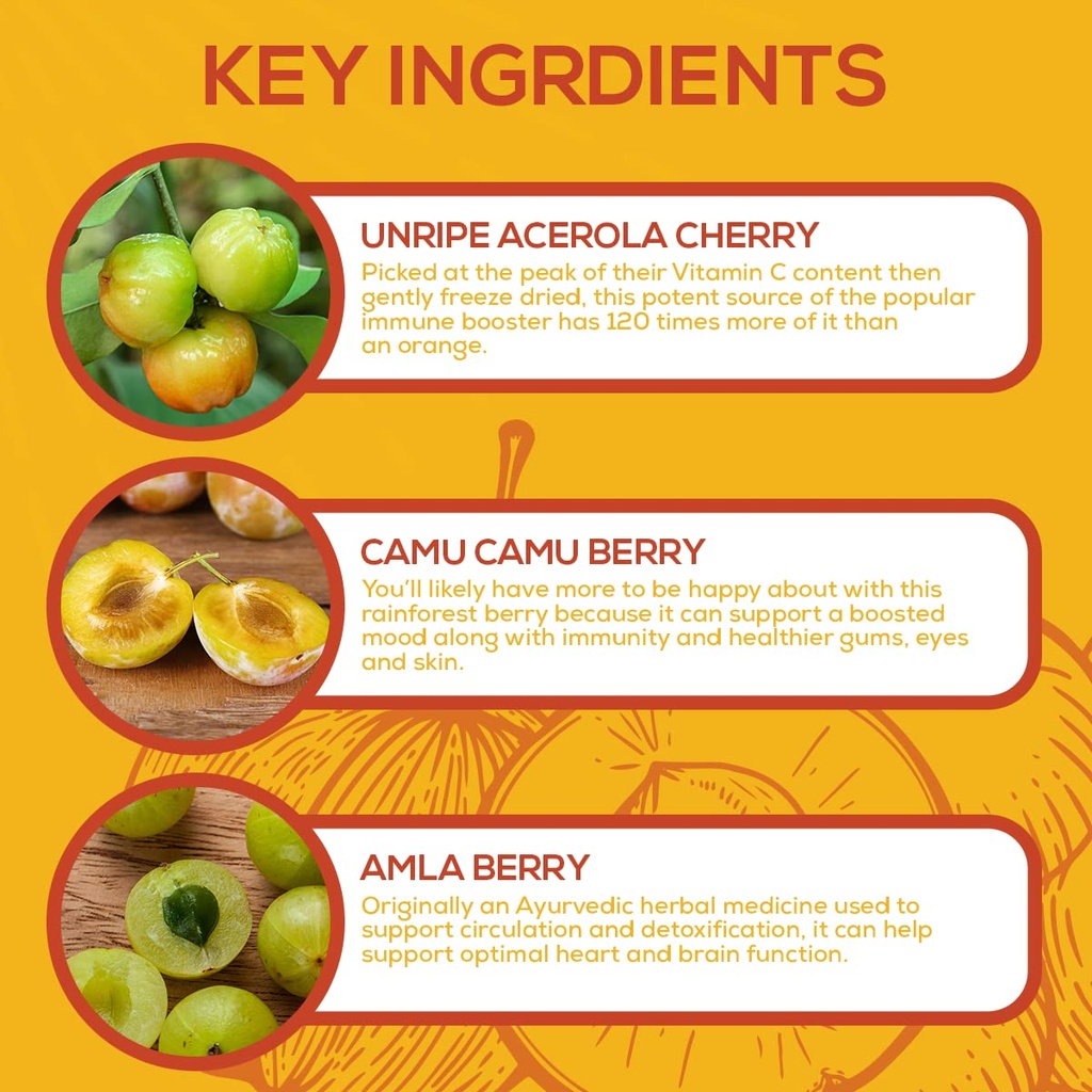 paleovalley-essential-c-complex-vitamin--6.jpg