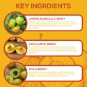 paleovalley-essential-c-complex-vitamin--6.jpg