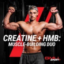gmu-sport-creatine-hmb-powder-45-serving-4.jpg