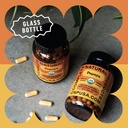 papaya-enzyme-capsules-500mg-organic-enz-4.jpg