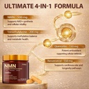 airboy-nmn-supplement-1000mg-4-in-1-nad--4.jpg