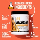 outwork-nutrition-post-workout-recovery--3.jpg