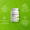 organic-10-in-1-mushroom-supplement-240--4.jpg