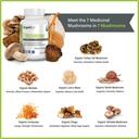 organixx-usda-organic-mushroom-supplemen-3.jpg