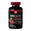 uric-acid-flush-natural-uric-acid-cleans-2.jpg