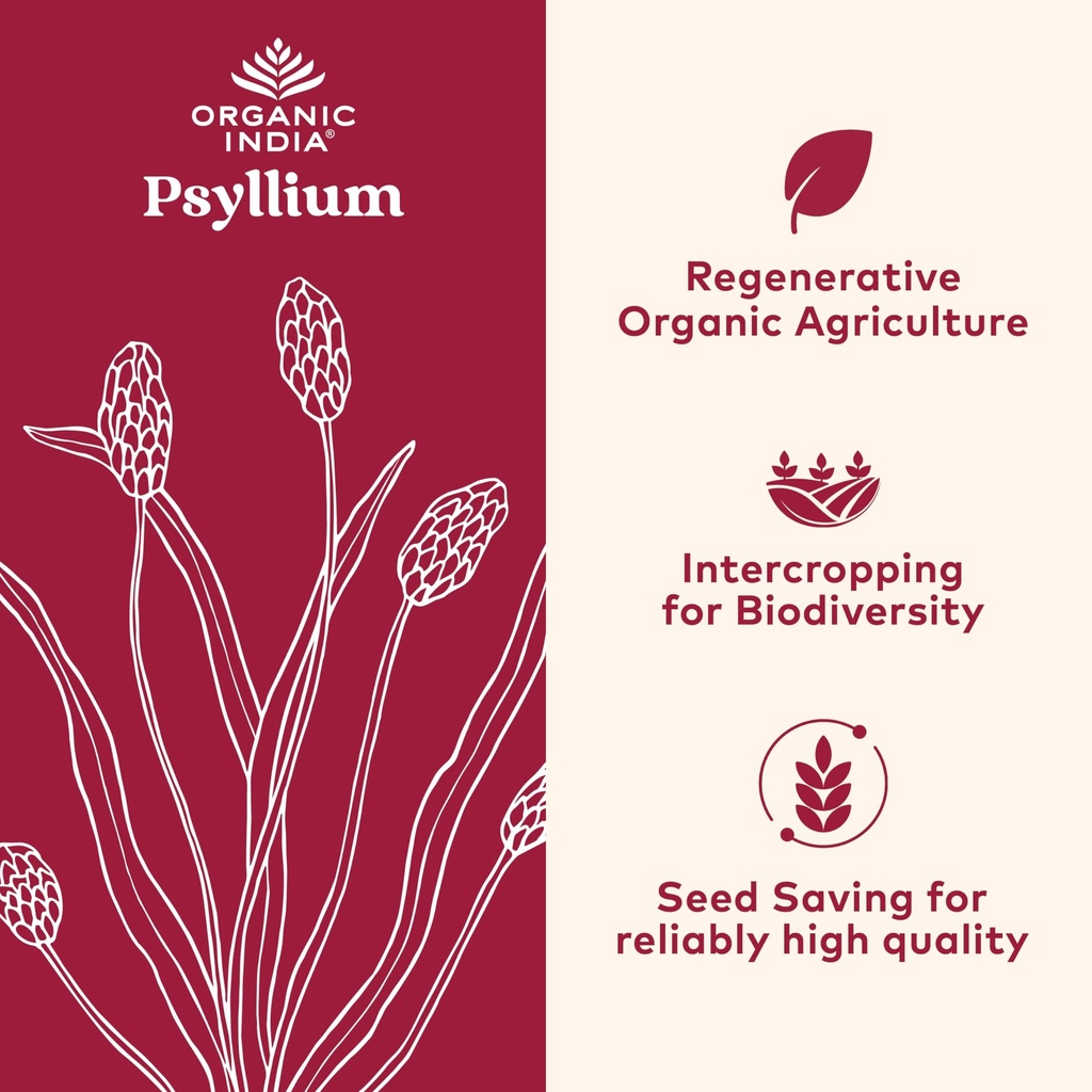 organic-india-whole-psyllium-husk-powder-3.jpg