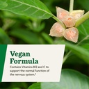 floradix-ashwagandha-liquid-herbal-vitam-6.jpg