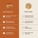 real-mushrooms-cordyceps-mushroom-powder-6.jpg