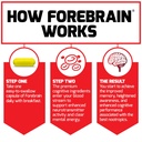 force-factor-forebrain-nootropic-brain-s-5.jpg