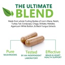 mushroom-brain-supplement-10-in-1-blend--6.jpg
