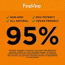 turmeric-curcumin-supplement-95-curcumin-4.jpg