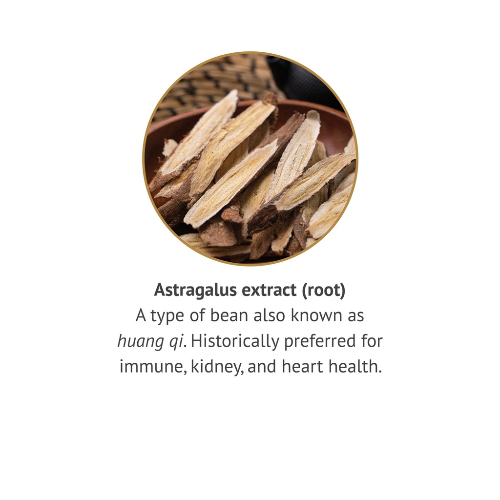 botanic-spa-astragalus-root-liquid-extra-4.jpg