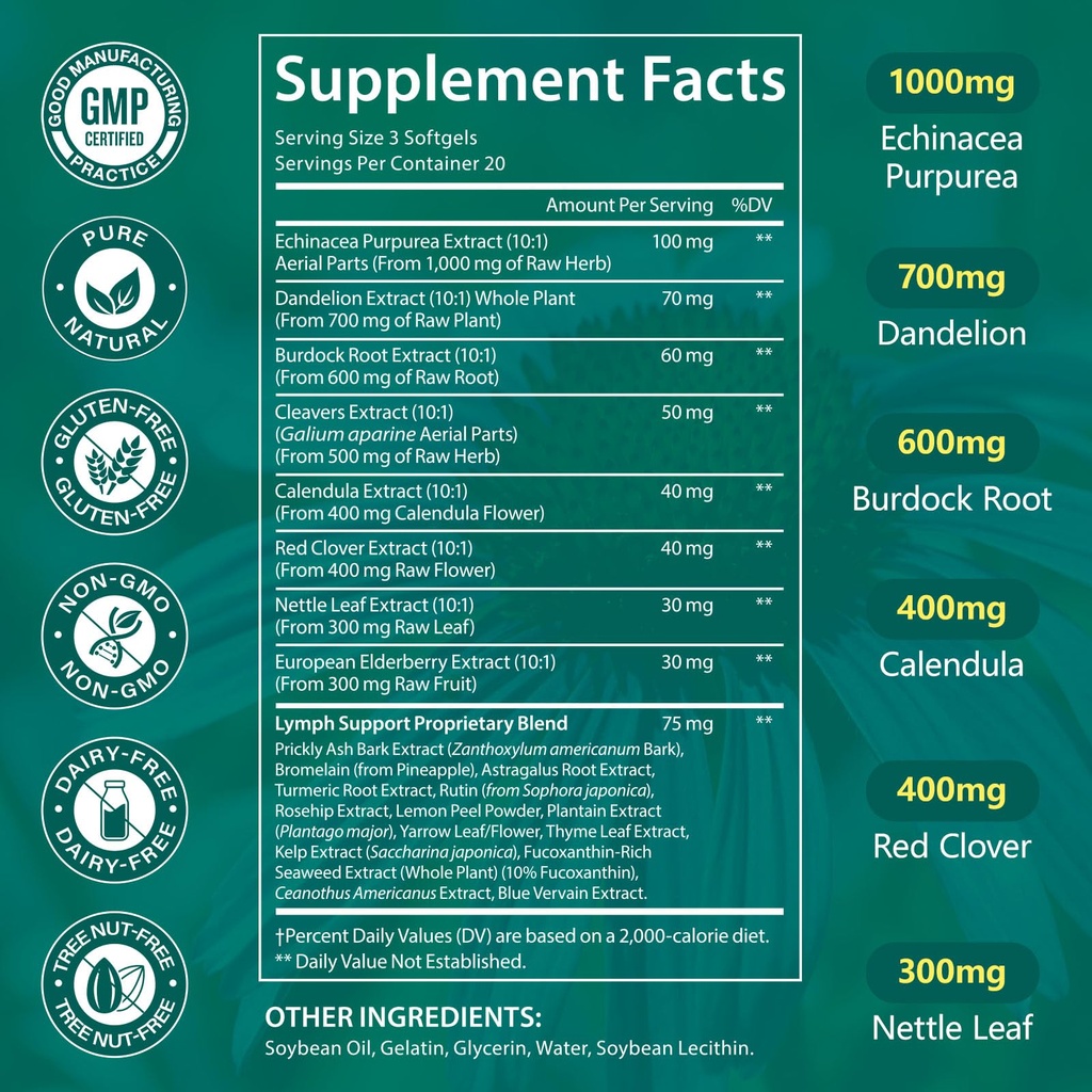 lymphatic-drainage-supplements-lymph-sys-5.jpg