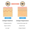 research-labs-2-for-1-promo-240-collagen-6.jpg