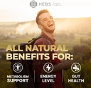multivitamin-fruits-and-vegetables-suppl-5.jpg