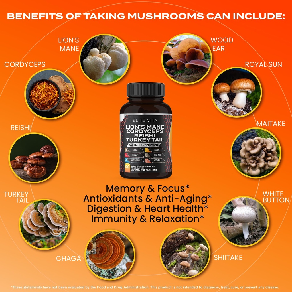 nootropic-mushroom-supplement-lions-mane-4.jpg