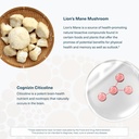 youtheory-lion-s-mane-plus-mushroom-supp-5.jpg