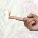 nature-s-answer-echinacea-astragalus-sup-4.jpg