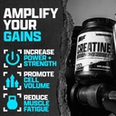 nutrex-research-ultra-pure-creatine-mono-2.jpg