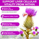 milk-thistle-silymarin-marianum-liquid-d-2.jpg