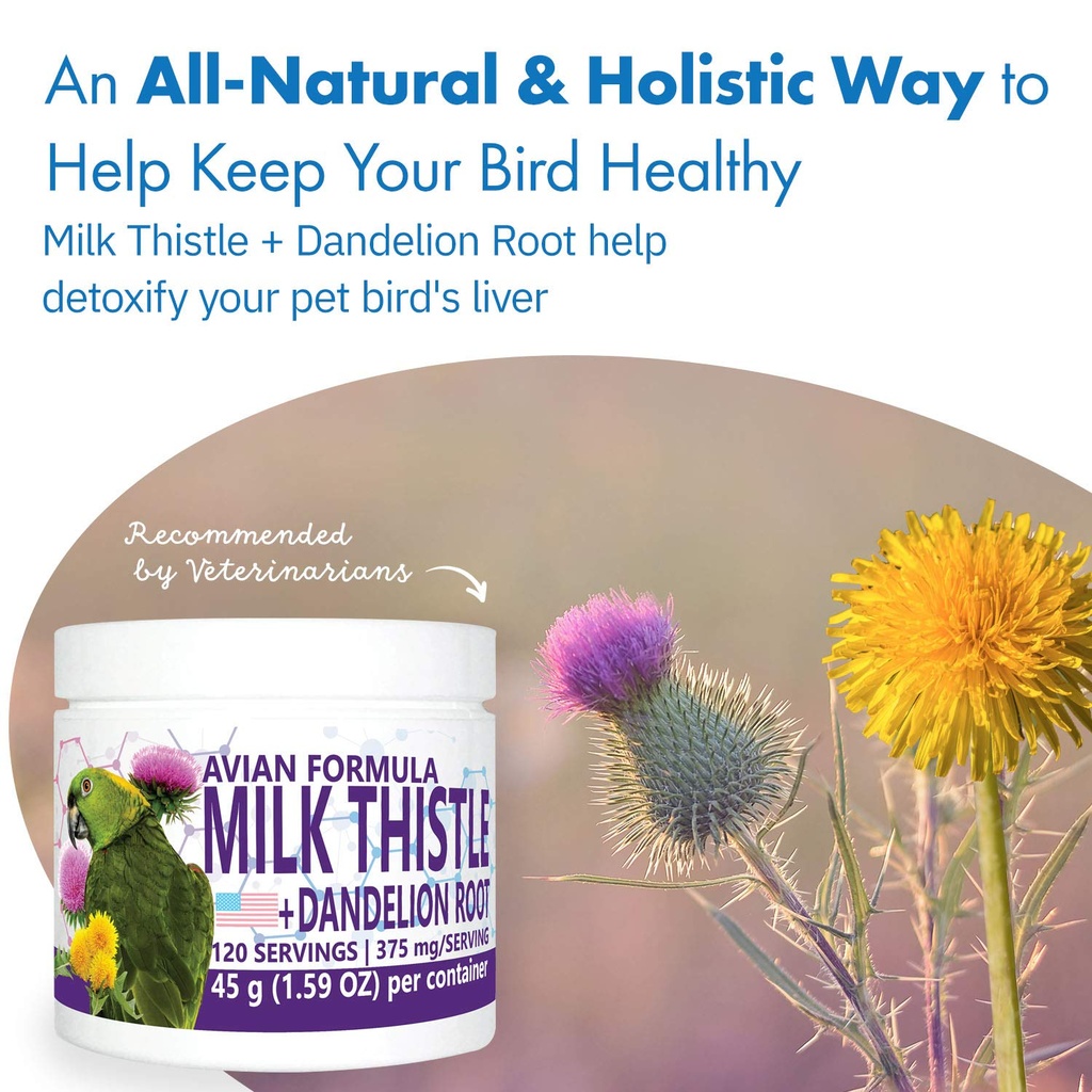 avian-milk-thistle-dandelion-root-dietar-6.jpg