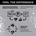 lmnt-zero-sugar-electrolytes-variety-pac-5.jpg