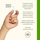 swanson-vitamin-b12-cyanocobalamin-energ-4.jpg