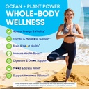 sea-moss-gummies-algae-omega-3-for-men-w-6.jpg