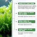 algae-omega-3-gummies-4000mg-fish-oil-gu-3.jpg