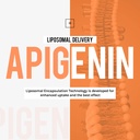 liposomal-apigenin-500mg-softgels-optima-2.jpg