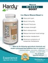 Macro Mineral Boost - augstas intensitātes kalcija papildinājums kaulu un zobu veselībai ar vitamīnu C, D, K, Kalcijs, Fosfors, un magnijs, Ultra Absorbable
