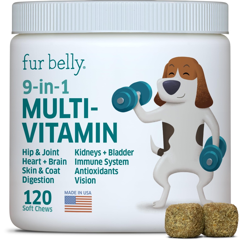 Multivitamīni suņiem - Vitamīni un piedevas - Gremošanas enzīmi un probiotikas - Probiotikas suņiem - ādas un ādas alerģiju - Imūnsistēma un kopējā veselība - 120 Soft Chew Dog Treats