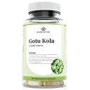 Dabas atjaunot Gotu Kola ekstrakta papildinājums, standartizēts līdz 10 procentiem Triterpēni, ražoti ASV, 90 kapsulas, ne ĢMO, bez lipekļa, vegans