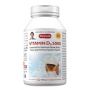 ANDREW LESSMAN vitamīns D3 5000 SV 360 kapsulas - augsta aktivitāte, būtiska kalcija absorbcijai, atbalsta kaulu veselību, veselīgu muskuļu funkciju, imūno sistēmu, vairāk. Mazs Viegli norīt kapsulas