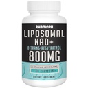 Liposomālā NAD+ 800 mg kopā ar 300 mg Trans-Resveratrol, Max Absorbcija, Faktiskais NAD+ Papildinājums veselīgai novecošanai, šūnu enerģijai, DNS labošana, ilgizturība - 60 softgeli