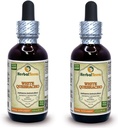 White Quebracho (Aspidosperma Quebracho-Blanco) Tincture, Žāvēts mizas pulvera šķidruma ekstrakts (Brand nosaukums: HerbalTerra, Proudly Made in USA) 2x2 fl.oz (2x60 ml)
