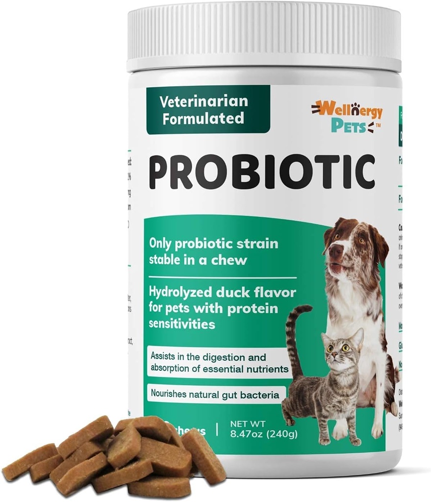 Wellnergy Daily Probiotikas & Prebiotikas Soft Chew suņiem un kaķiem - Gremošanas atbalsts Caureja, Aizcietējums, Upset Kuņģis, Gremošanas & Gāze - palīdz Gremošanas, Alerģijas ādas un imūnās veselības 160ct