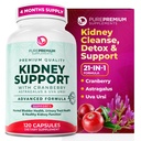 PurePremium Niere Support Papildinājums – Nieru tīrīšana Detox & Remonts ar Dzērveņu ekstraktu un Astragalus - 21-in-1 komplekss Atbalsta Normāls urīnpūslis, Urīnceļu un nieru veselība - 120 dienu piegādes