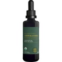 Global Healing Center - Organic Ashwagandha papildinājumi pilieni - KSM-66 Ashwagandha Extra Strength vīriešiem un sievietēm, Palīdz veicināt atvieglojumus no stresa, Mood Support, Organic (2 Fl Oz)