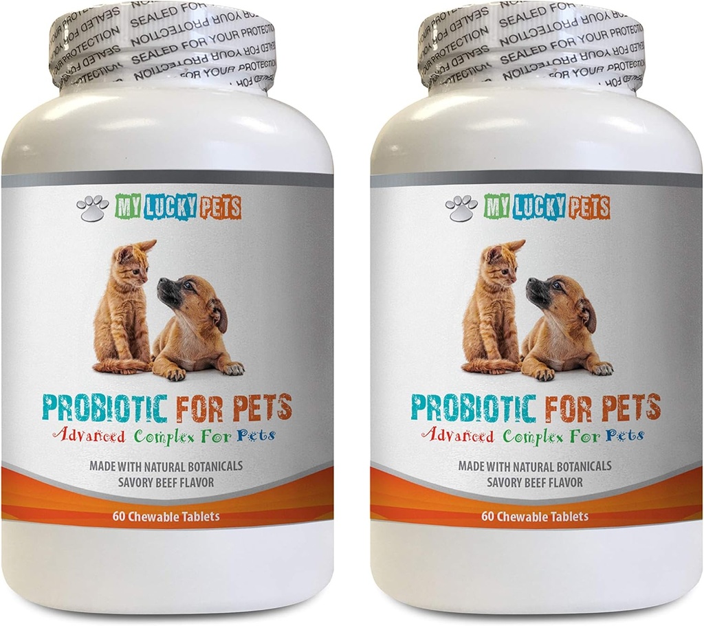 suņu probiotiskie gremošanas enzīmi - PET PROBIOTIC - DOGS UN CATS - DIGESTĪVAIS BOOSTS - BĪSTAMA BRĪDINĀJUMA UN STOP DIARRHEA - laktobacillus salivarius probiotic - 2 pudeles (120 Ārstēšana)